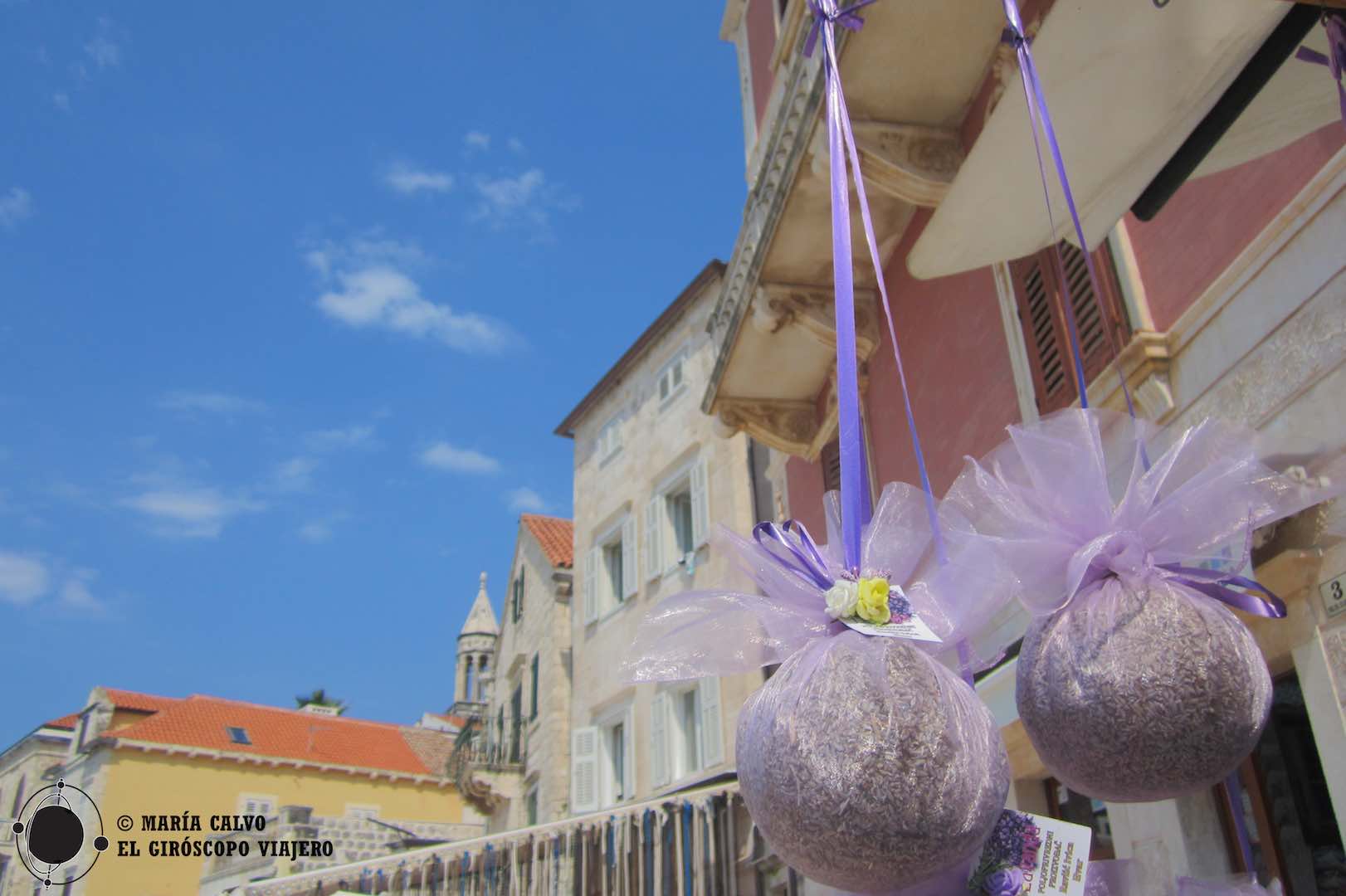 Lavande à Hvar