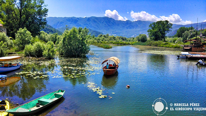 Le lac de Skadar, le plus grand lac des Balkans se situe au sud du Monténégro